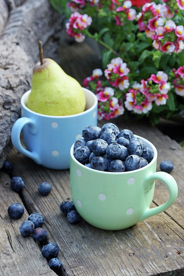 Blueberries And Pear In Mugs On Wooden Bench Outdoors Photograph by Angelica Linnhoff