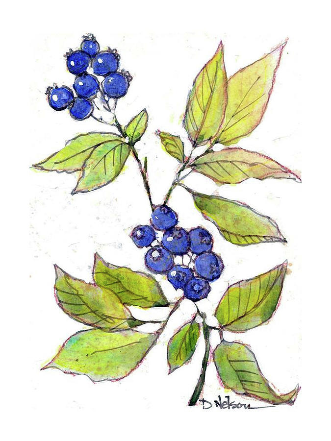 Blueberries Painting by Dan Nelson