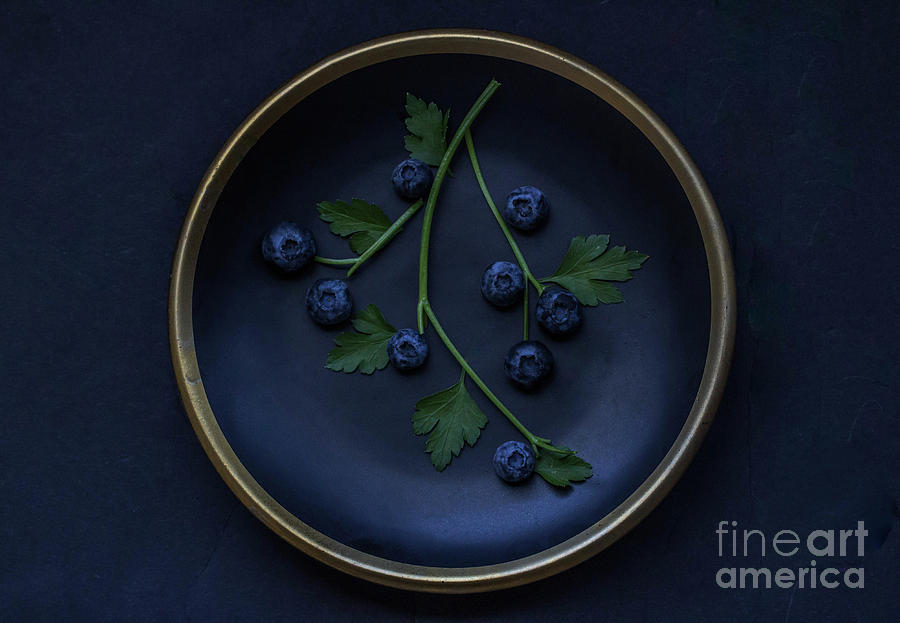 Blueberries On Twig On Plate Photograph by Dina Ray