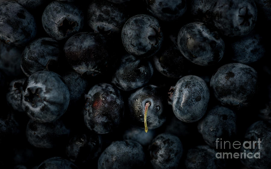 Blueberries, one with a stalk Photograph by Jenco van Zalk