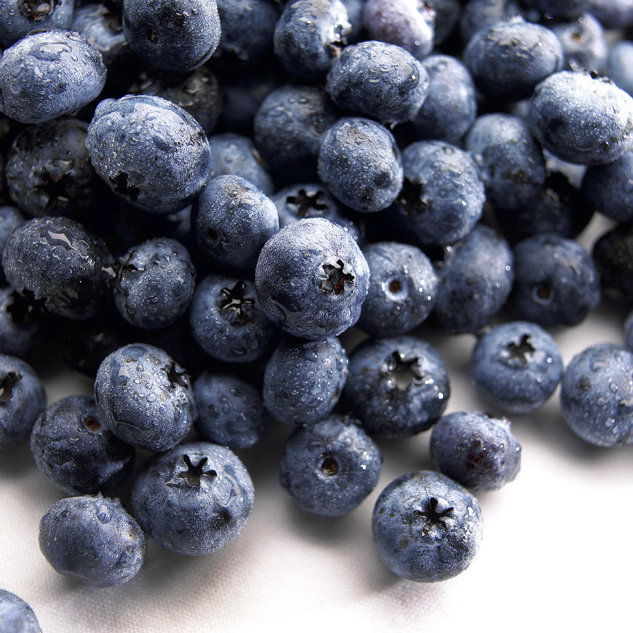 Blueberries Photograph by Slivinski Photo