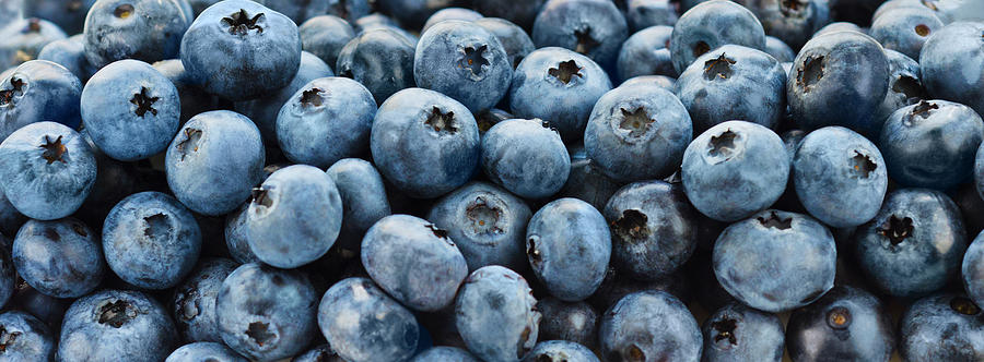 Blueberries Photograph by Tetra Images