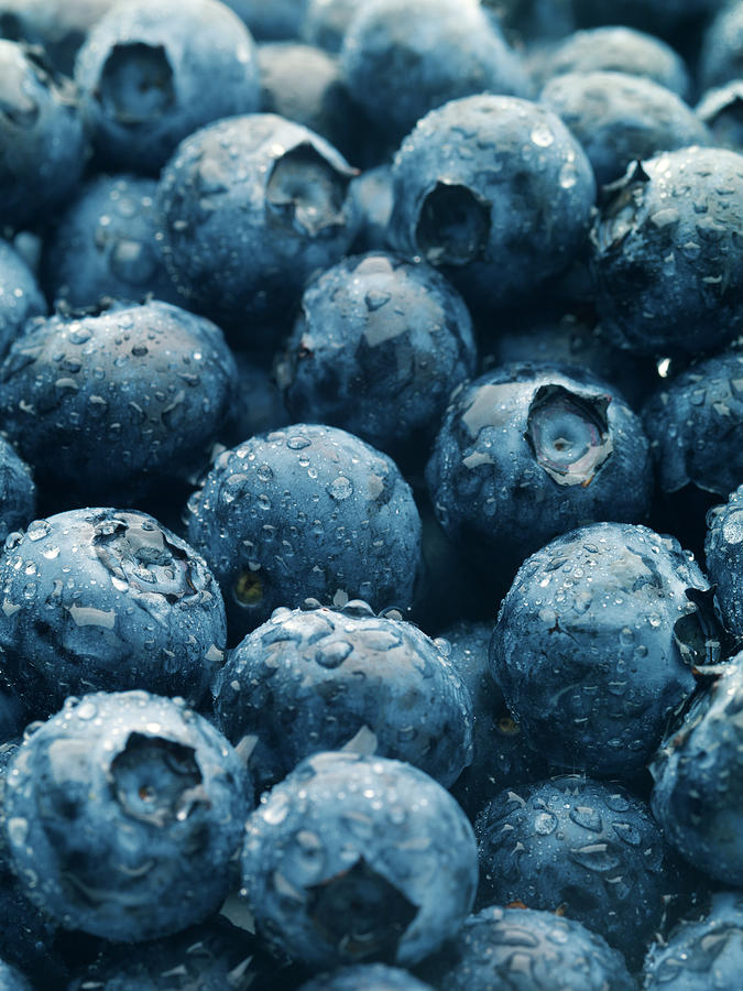 Blueberries Vertical Photograph by Joecicak
