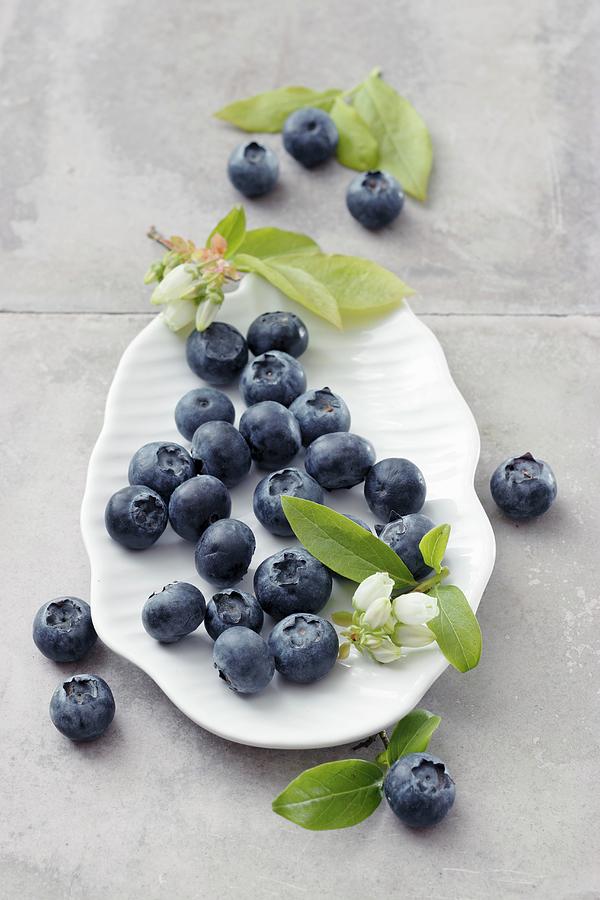 Blueberries With Leaves And Flowers Photograph by Petr Gross