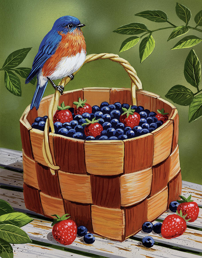 Bluebird Painting - Blueberry Basket by William Vanderdasson
