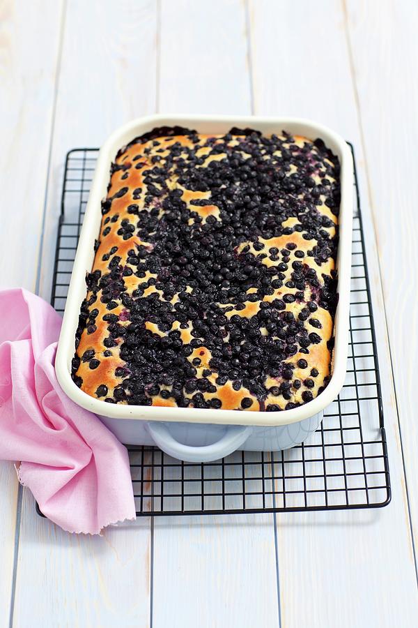 Blueberry Cake Made In A Baking Dish Photograph by Rua Castilho