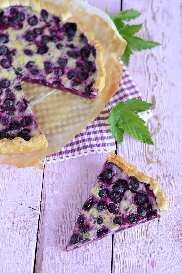 Blueberry Cake Photograph by Sonia Chatelain