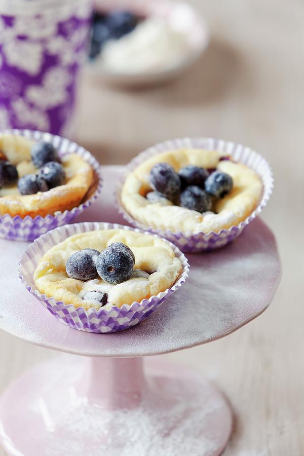 Blueberry Cheesecake Muffins Photograph by Birgit Twellmann