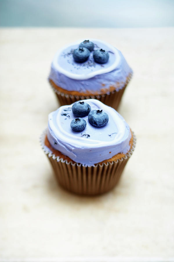 Blueberry Cupcakes Photograph by Bilic