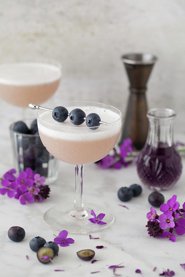 Blueberry Gin Sour In A Vintage Cocktail Glass Decorated With Blueberries Photograph by Jane Saunders