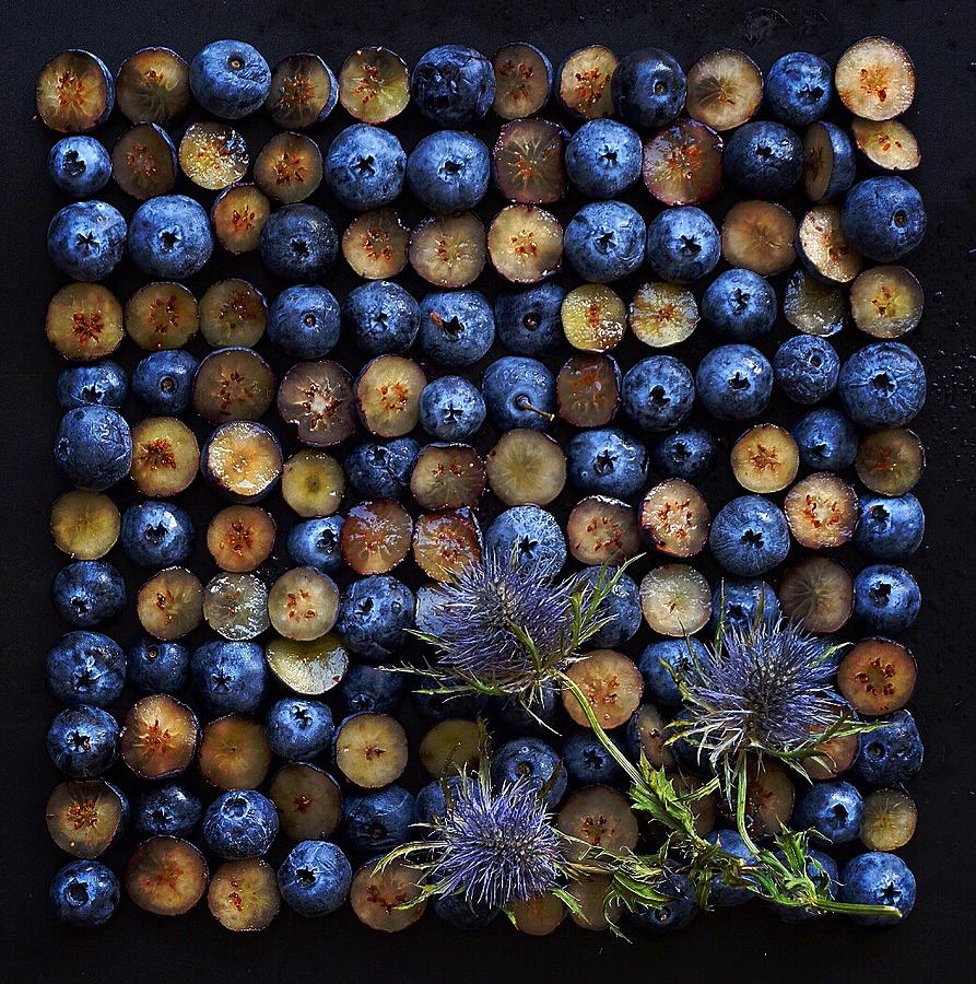 Blueberry Grid by Sarah Phillips Blueberry Grid by Sarah Phillips
