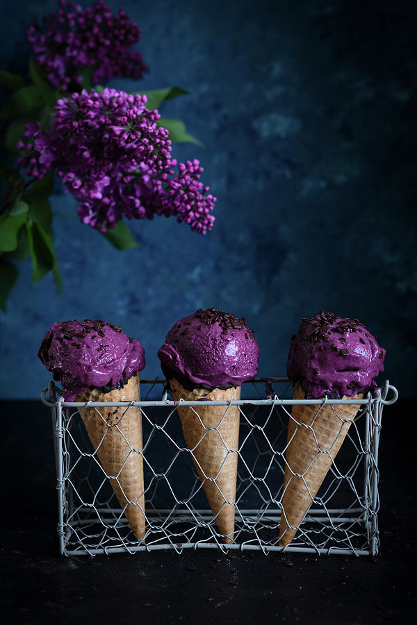 Blueberry Ice Cream Photograph by Zaneta Hajnowska,