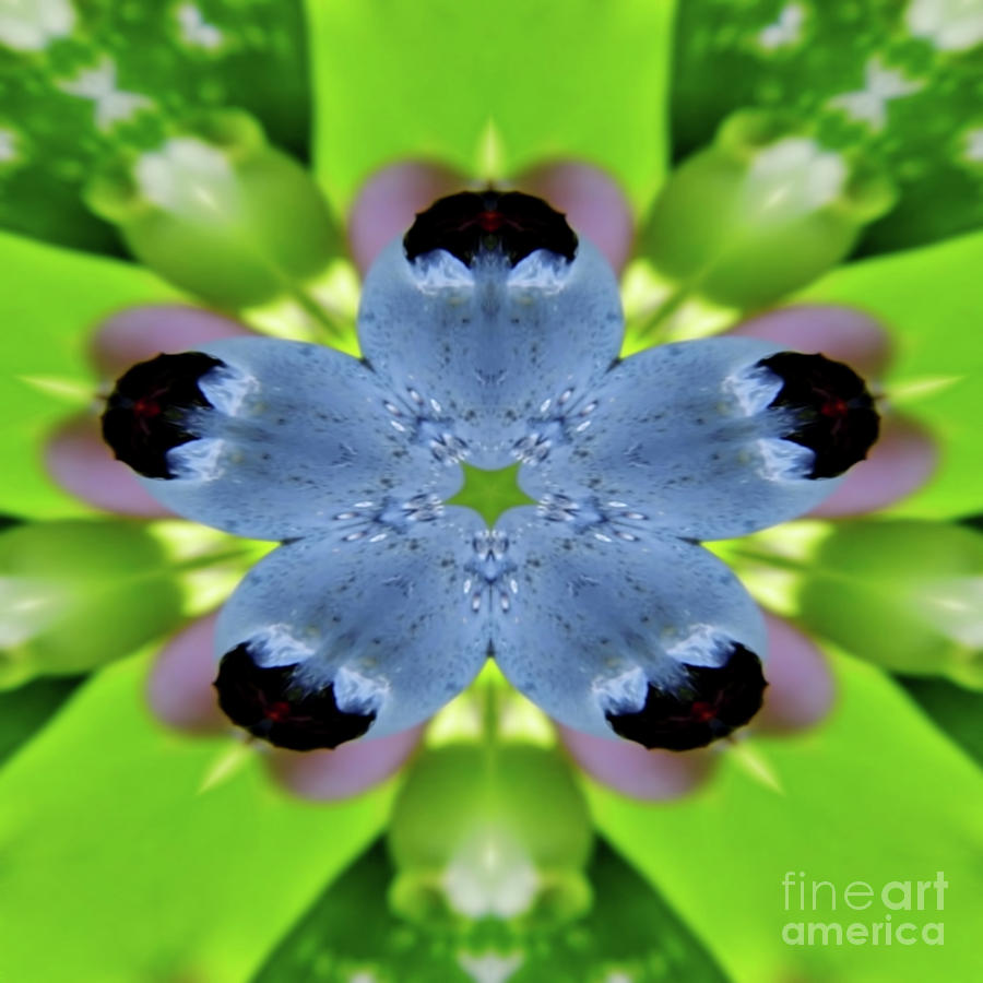 Abstract Digital Art - Blueberry Kaleidoscope by D Hackett