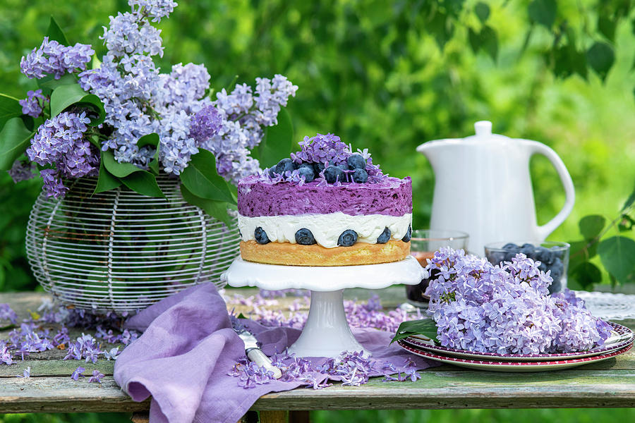 Blueberry Mousse Cake Photograph by Irina Meliukh