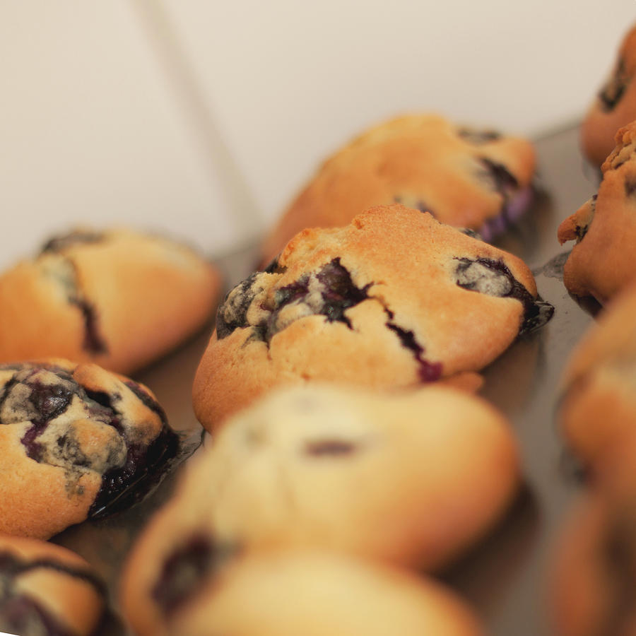 Blueberry Muffins Photograph by Elsa Konig Images