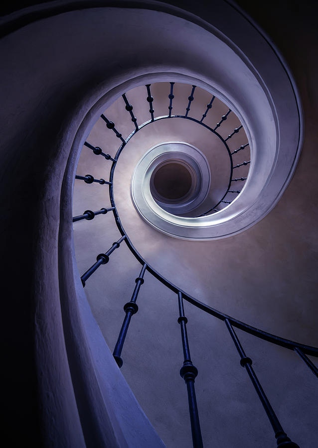 Blueberry spiral staircase Photograph by Jaroslaw Blaminsky