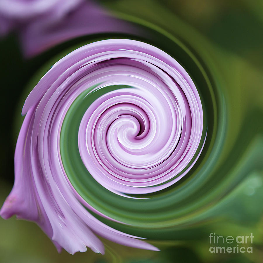 Blueberry swirl Photograph by Agnes Caruso