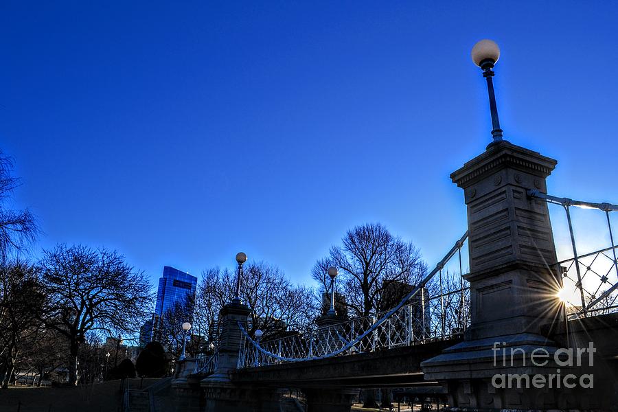 Bluebird - Boston Common, Boston Massachusetts Photograph by Dave Pellegrini