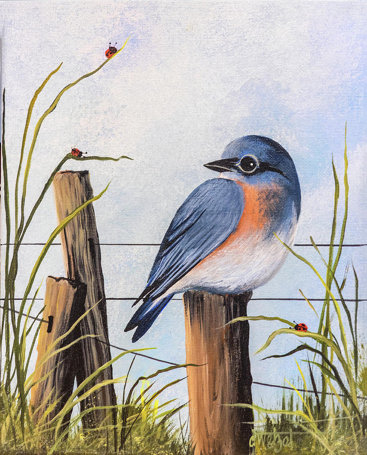 Bluebird Painting - Bluebird by Debbi Wetzel