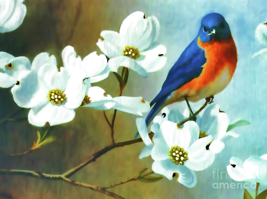 Bluebird In The Dogwood Digital Art by D Hackett