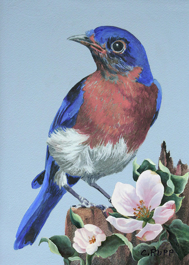 Bird Painting - Bluebird Watch by Carol J Rupp