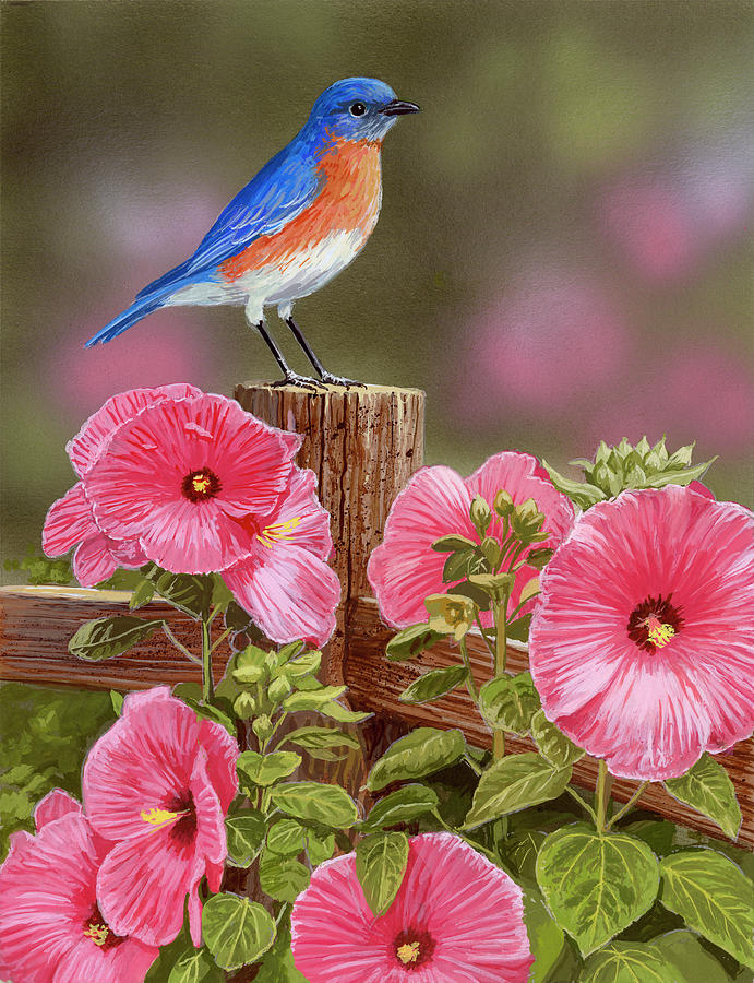 Bluebird Painting - Bluebird With Hibiscus by William Vanderdasson