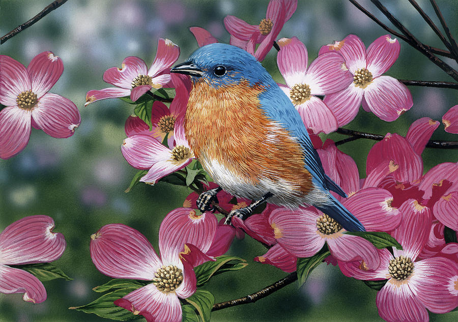 Spring Painting - Bluebird/pink Dogwood by William Vanderdasson