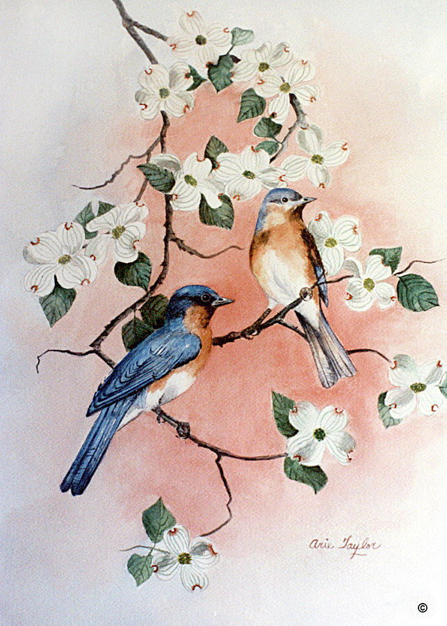 Animal Painting - Bluebirds And Dogwood by Arie Reinhardt Taylor