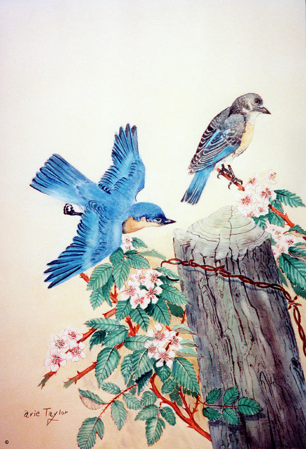 Flower Painting - Bluebirds by Arie Reinhardt Taylor