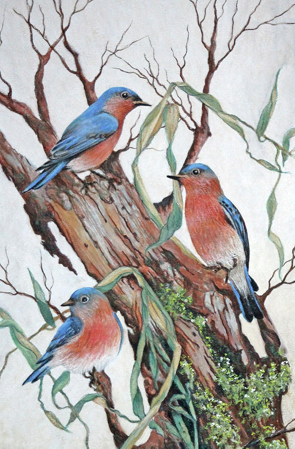 Bird Painting - Bluebirds At Rest by Carol J Rupp