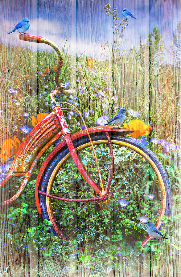 Bluebirds on a Bicycle Photograph by Debra and Dave Vanderlaan