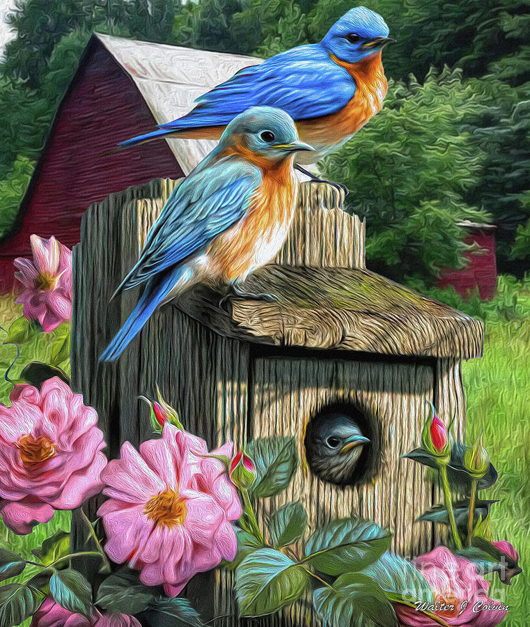 Bluebirds Digital Art by Walter Colvin