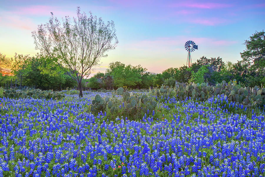 of the Hill Country Evening 4092 Photograph by Rob Greebon