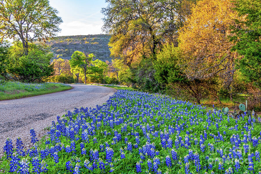 what is the prettiest part of the texas hill country
