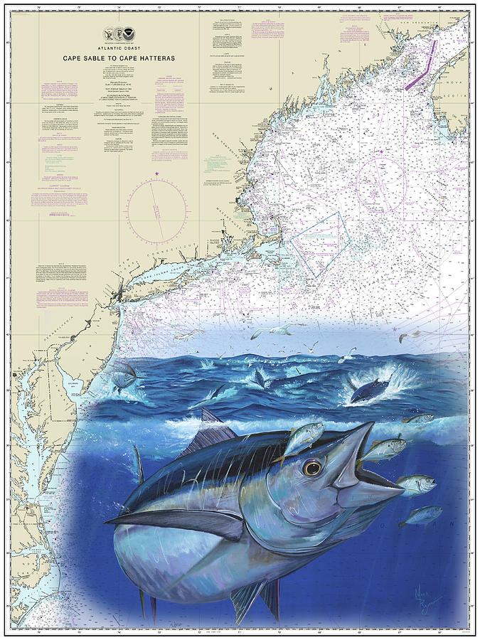 Bluefin Tuna Chart Painting by Mark Ray
