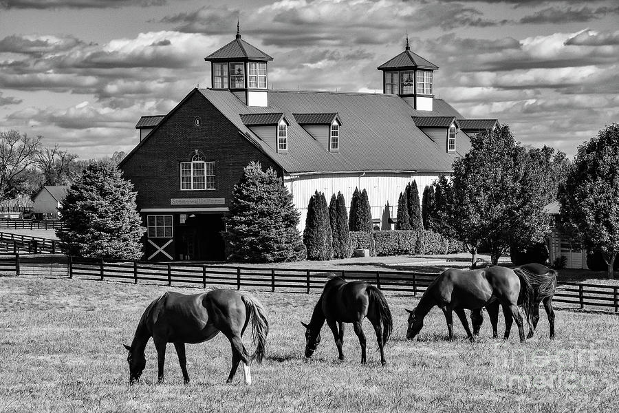Bluegrass Horse Farm 2 Photograph by Bob Phillips