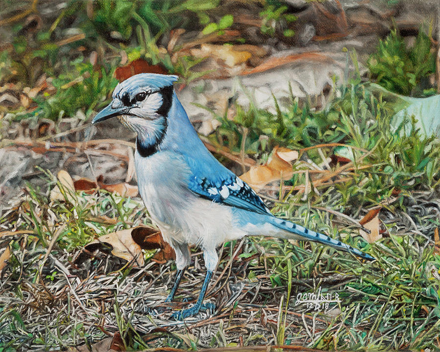 Bluejay in Autumn Painting by Joshua Martin
