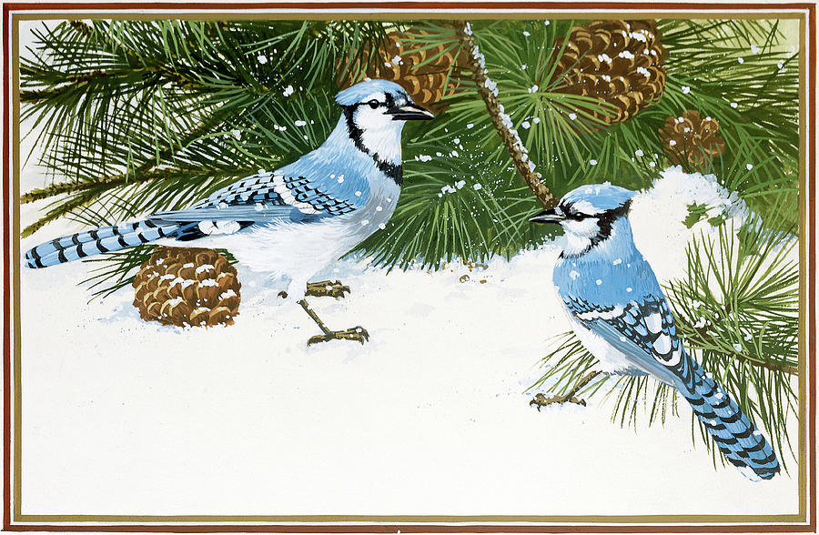 Bird Painting - Bluejays by William Vanderdasson