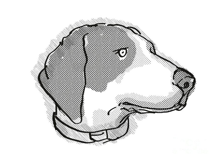 Bluetick Coonhound Dog Breed Cartoon Retro Drawing Digital Art