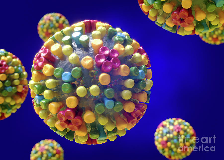 Bluetongue Virus Structure Photograph by Roger Harris/science Photo ...