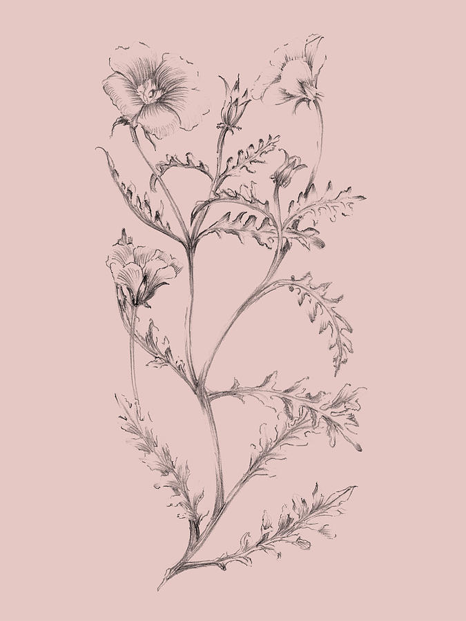 Flower Mixed Media - Blush Pink Flower Illustration I by Naxart Studio