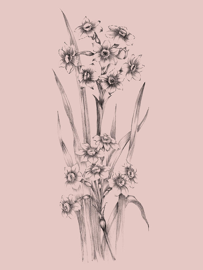Flower Mixed Media - Blush Pink Flower Sketch I by Naxart Studio