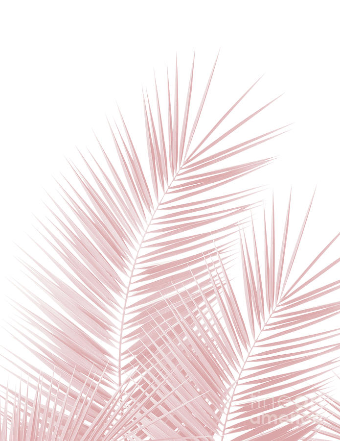 Nature Photograph - Blush Pink Palm Leaves Dream - Cali Summer Vibes #1 #tropical #decor #art  by Anitas and Bellas Art