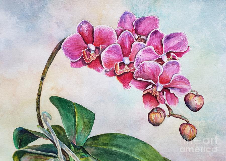 Blushing Beauties by LISA DEBAETS Blushing Beauties by LISA DEBAETS