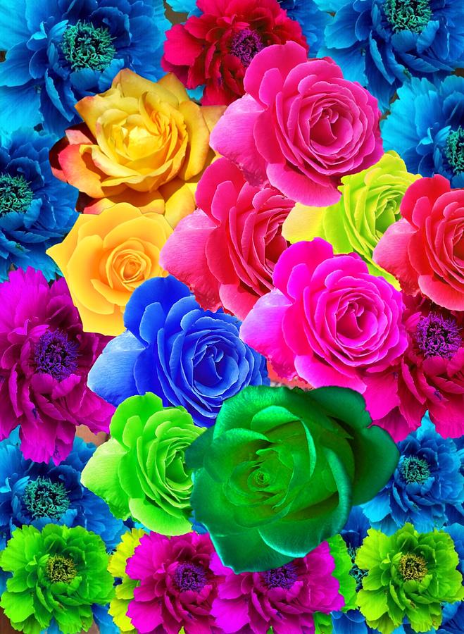 Blushing Roses Digital Art by Gayle Price Thomas