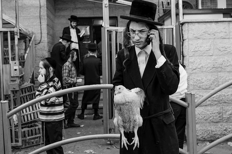 Animal Photograph - Bnei Brak 2018 by Orna Naor