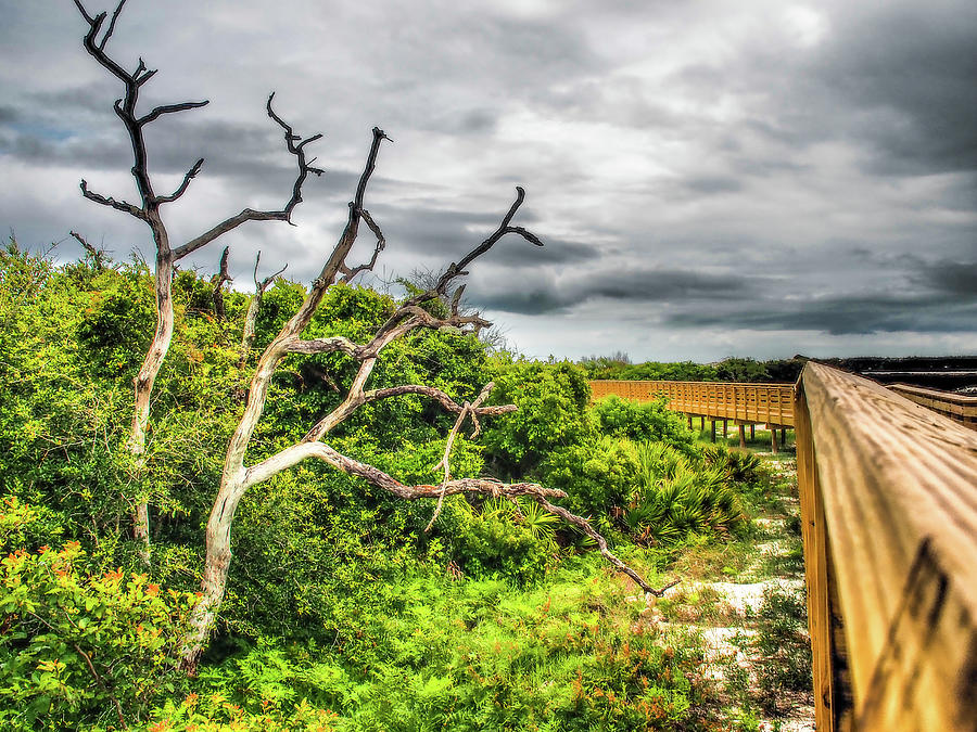 Boardwalk and Dramatic Sky Photograph by James C Richardson