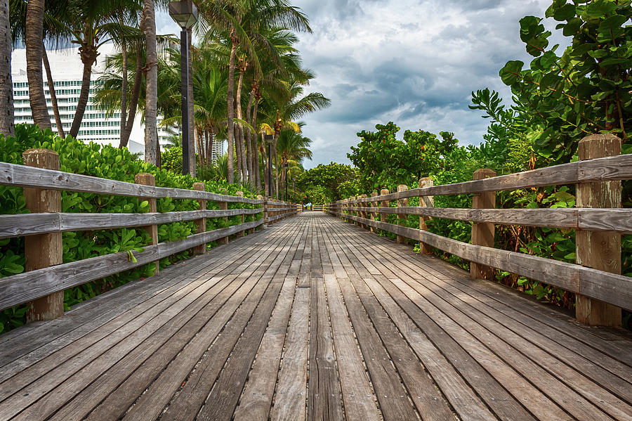 Boardwalk In Miami Beach Photograph by Alison Frank