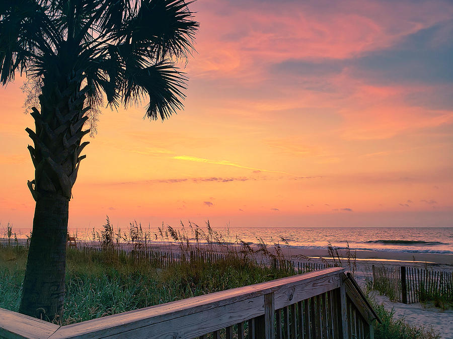 Boardwalk sunrise Photograph by Darrell Foster