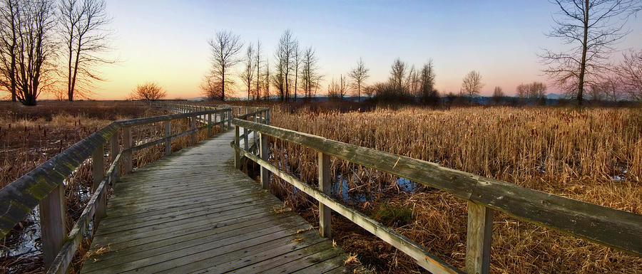Boardwalk Through Marsh Photograph by Ryan Watts